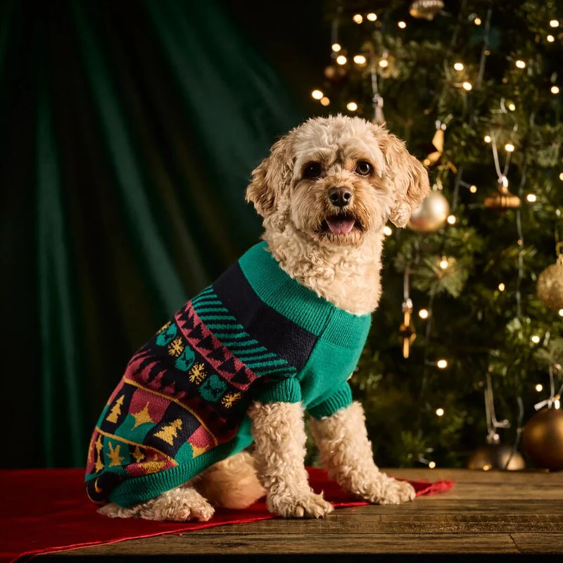 Christmas Jumper 2025 - Image 3
