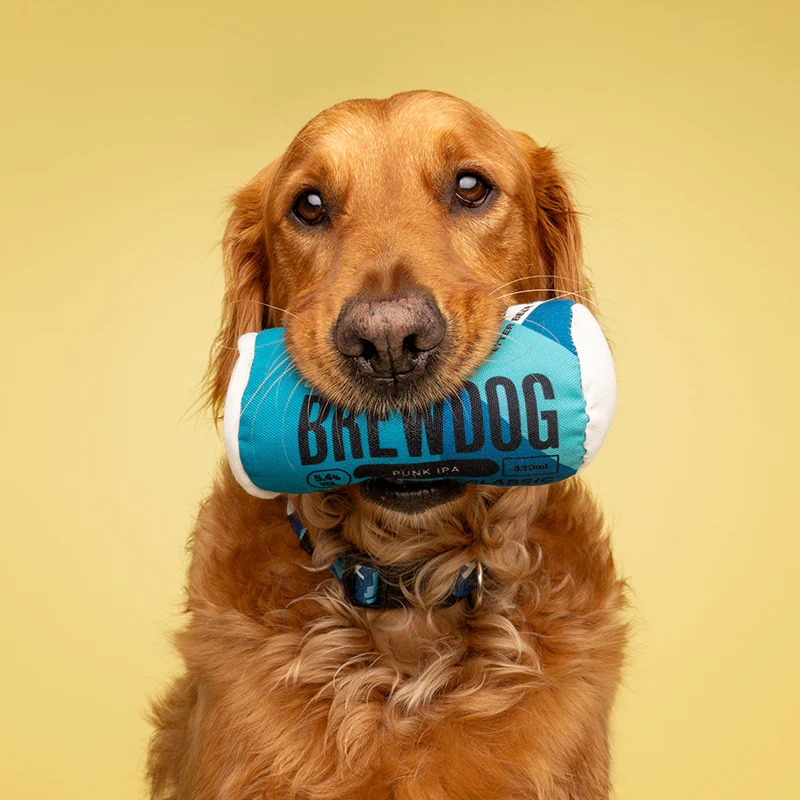 Dog Toy - Punk IPA - Image 2