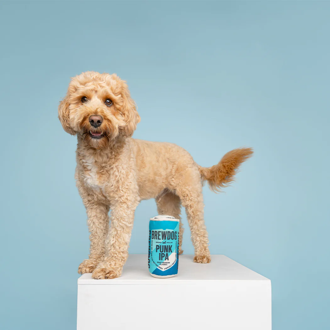 Dog Toy - Punk IPA - Image 5