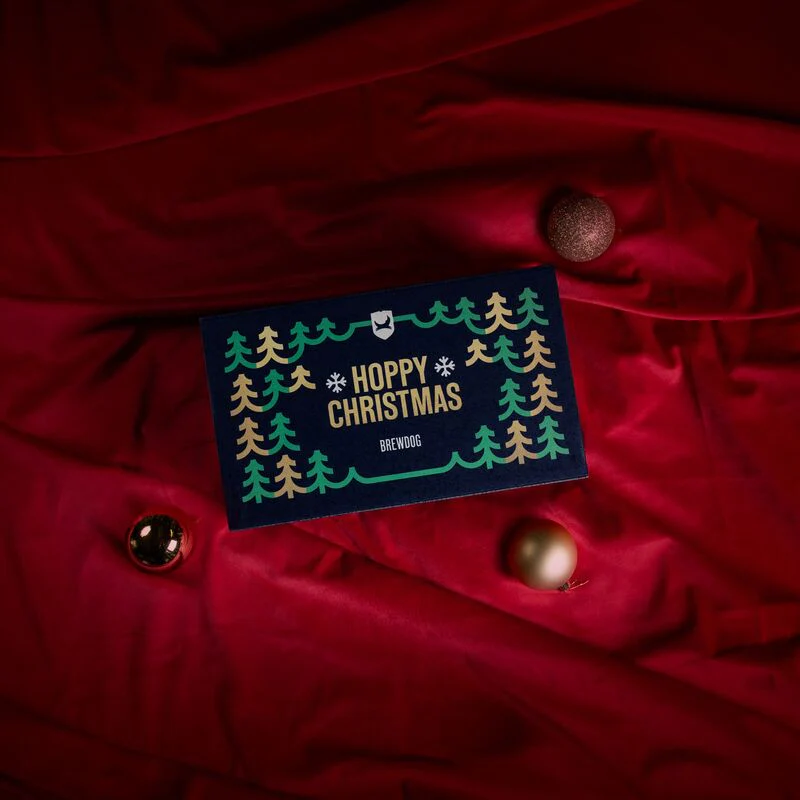 Xmas Craft Beer Gift Pack - Image 2